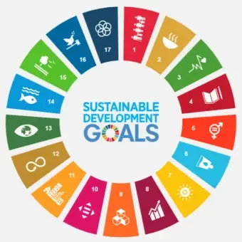 Bild SDG-Rad